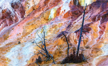 Картинка природа реки озера склон деревья поток река скала