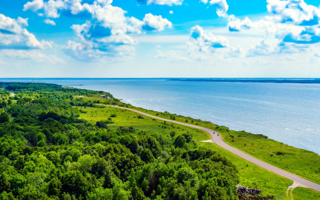 Обои картинки фото природа, побережье, деревья, дорога, море