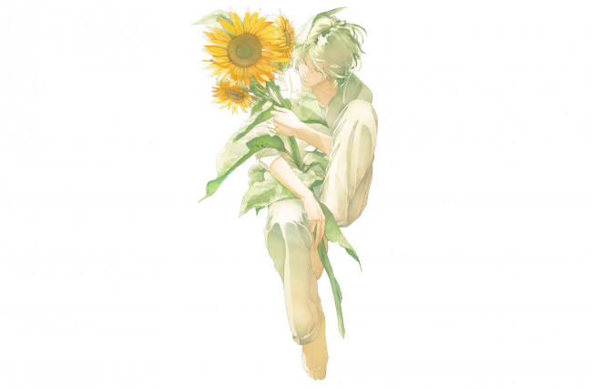 Обои картинки фото аниме, unknown,  другое, парень, подсолнух