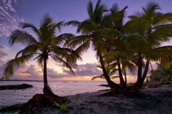 Картинка природа тропики простор