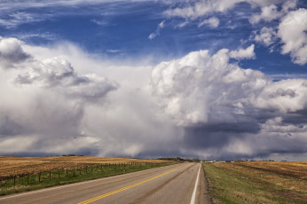 Картинка природа дороги простор