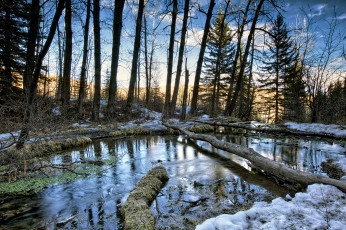 Картинка природа реки озера простор