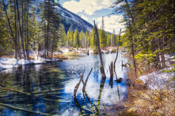 Картинка природа реки озера простор