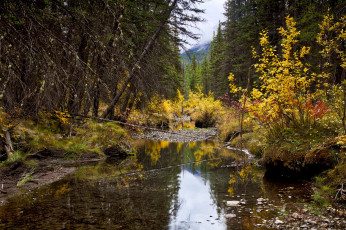 Картинка природа реки озера простор