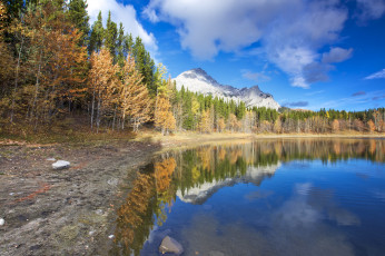 Картинка природа реки озера простор