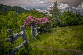 Картинка природа пейзажи простор