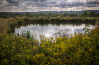 Картинка природа реки озера простор