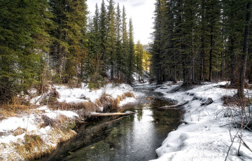 Картинка природа реки озера простор