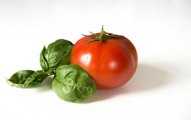 Обои картинки фото еда, помидоры, снедь, томаты