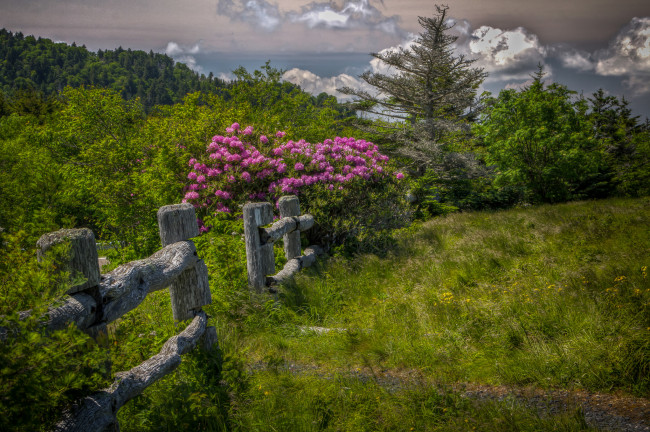 Обои картинки фото природа, пейзажи, простор