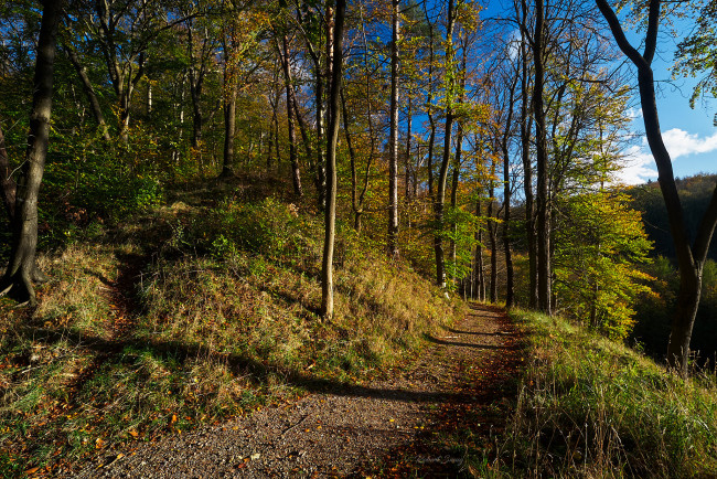 Обои картинки фото природа, дороги, простор