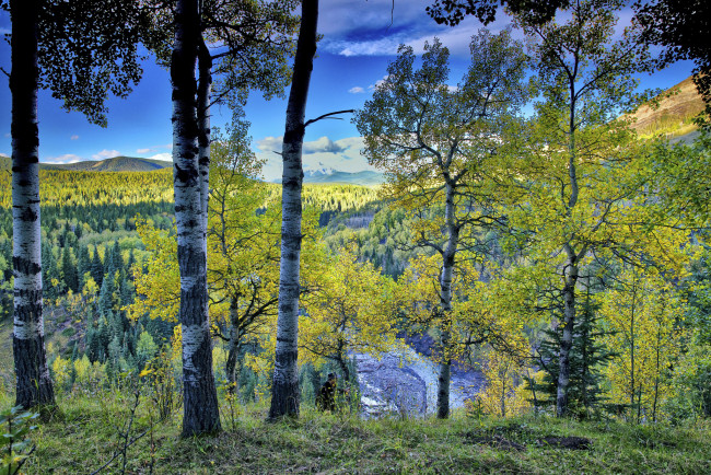 Обои картинки фото природа, пейзажи, простор