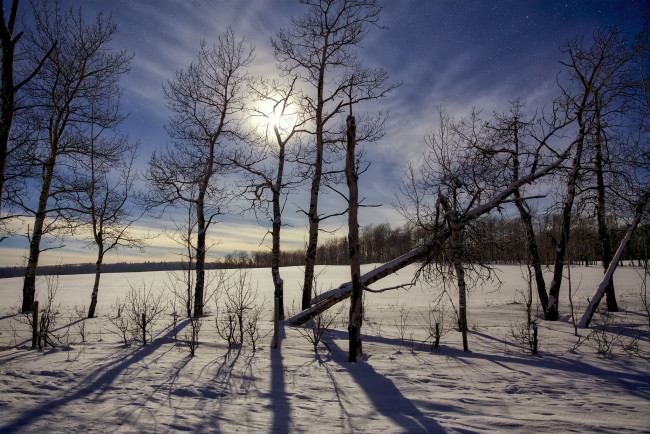 Обои картинки фото природа, зима, простор