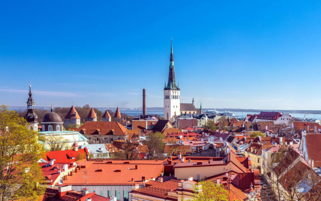 Обои картинки фото города, таллин , эстония, панорама