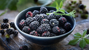 Картинка еда ежевика