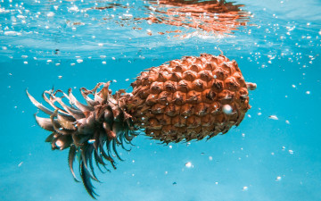 обоя еда, ананас, экзотика