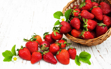 Картинка еда клубника +земляника корзинка спелая ягоды