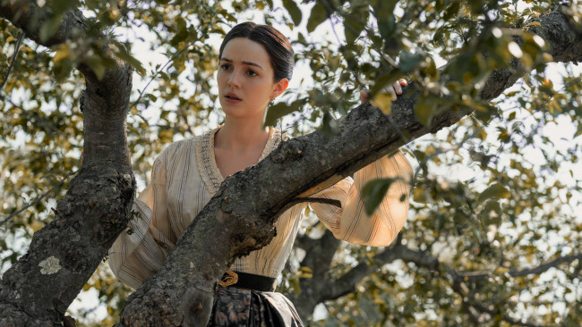 Обои картинки фото dickinson , сериал 2019 – 2021, кино фильмы, сериал, элла, хант, биография, драма, комедия, дикинсон, ella, hunt, sue, gilbert