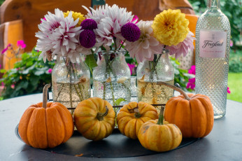 Картинка еда тыква тыковки