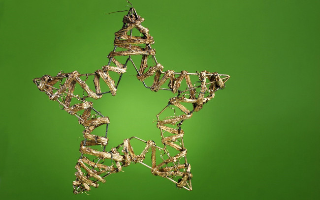 Обои картинки фото праздничные, снежинки и звёздочки, звезда, украшение