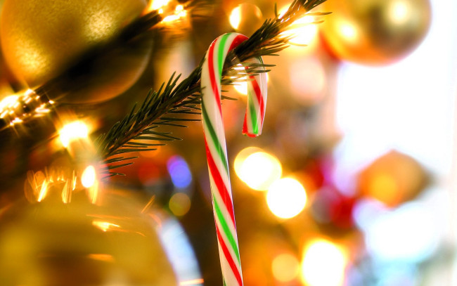 Обои картинки фото праздничные, украшения, ёлка, ветка, леденец