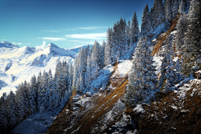 Обои картинки фото природа, горы, лес, снег
