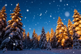 Картинка 3д+графика природа+ nature зима снег