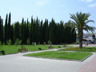 Картинка адлер природа парк