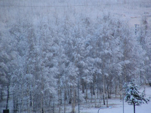 Картинка природа