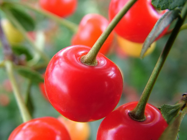 Обои картинки фото 