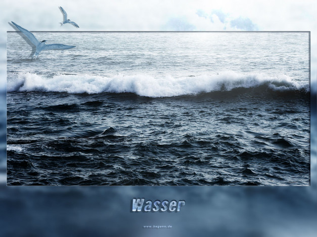 Обои картинки фото 