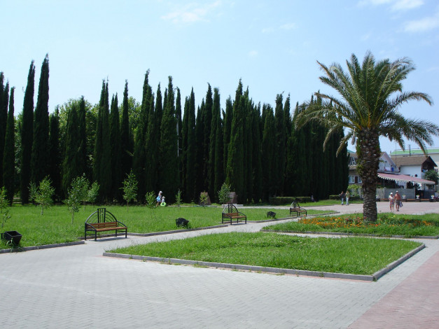 Обои картинки фото адлер, природа, парк