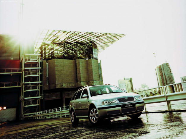 Обои картинки фото автомобили, skoda