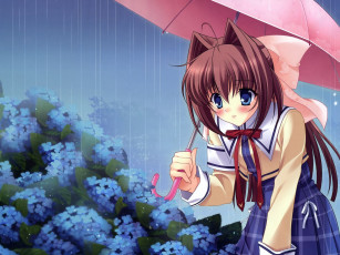 Картинка аниме da capo