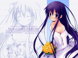 Картинка аниме hanbun no tsuki ga noboru sora