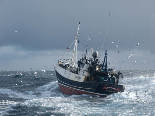 Картинка корабли другое