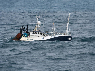 Картинка корабли другое