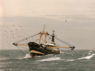 Картинка корабли другое