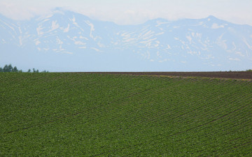 Картинка природа