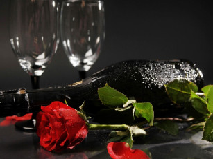 Картинка цветы розы