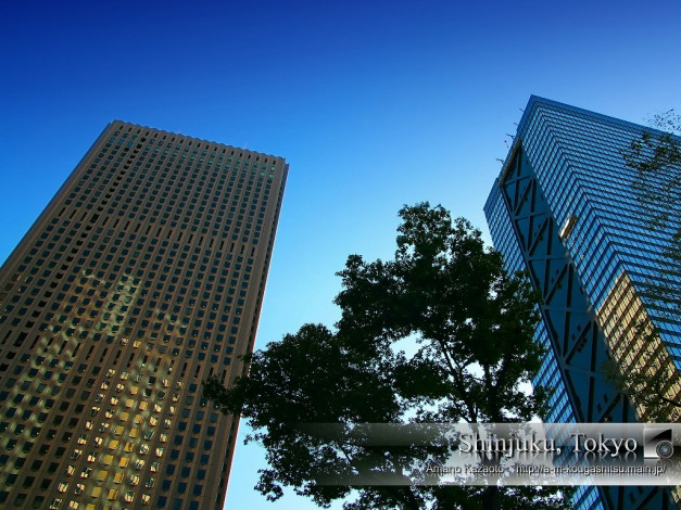 Обои картинки фото города, токио, Япония