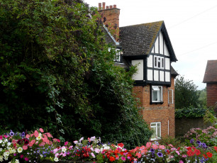 Картинка города здания дома дом дерево цветы