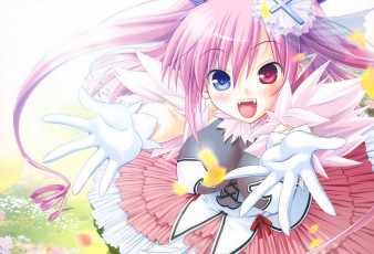 Картинка аниме chu& 215 chu цветы лепестки поляна счастье девушка радость