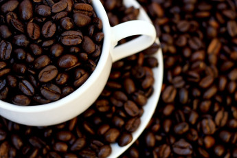 Картинка еда кофе кофейные зёрна чашка зерна