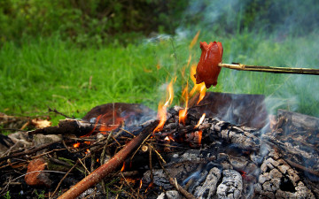 Картинка природа огонь трава костер