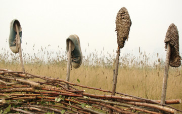 Картинка разное одежда обувь текстиль экипировка небо кросовки забор