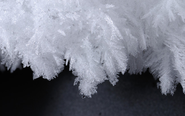 Обои картинки фото природа, макро, зима, снег