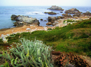 Картинка рисованные природа поляна трава