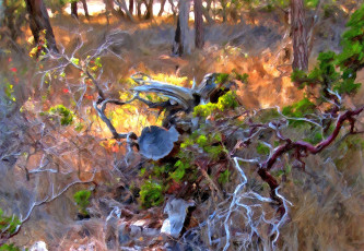 Картинка рисованные природа лес деревья ветки