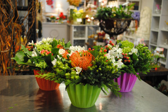 Картинка цветы букеты +композиции горшочки